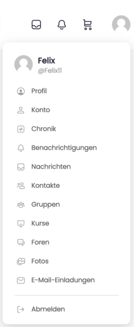 Darstellung Profilbutton
